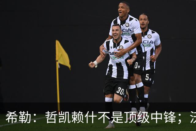 希勒：哲凯赖什不是顶级中锋；沃尔特马德不适合英超